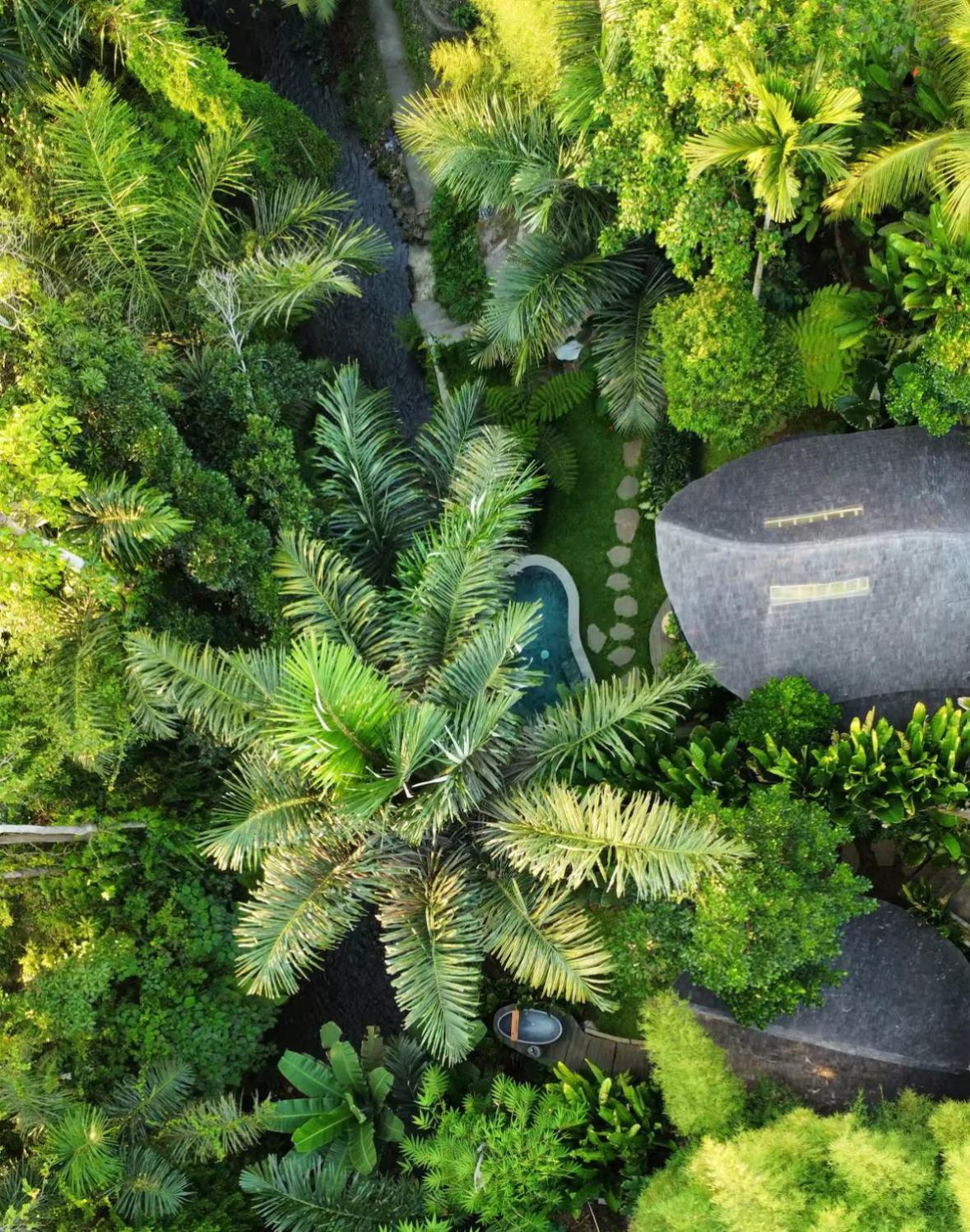 Wahem Eco Bamboo - Magical Bamboo House Ubud Bali Βίλα Εξωτερικό φωτογραφία